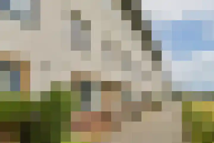 Oudenaardeplantsoen 77 Amsterdam thumbnail 23