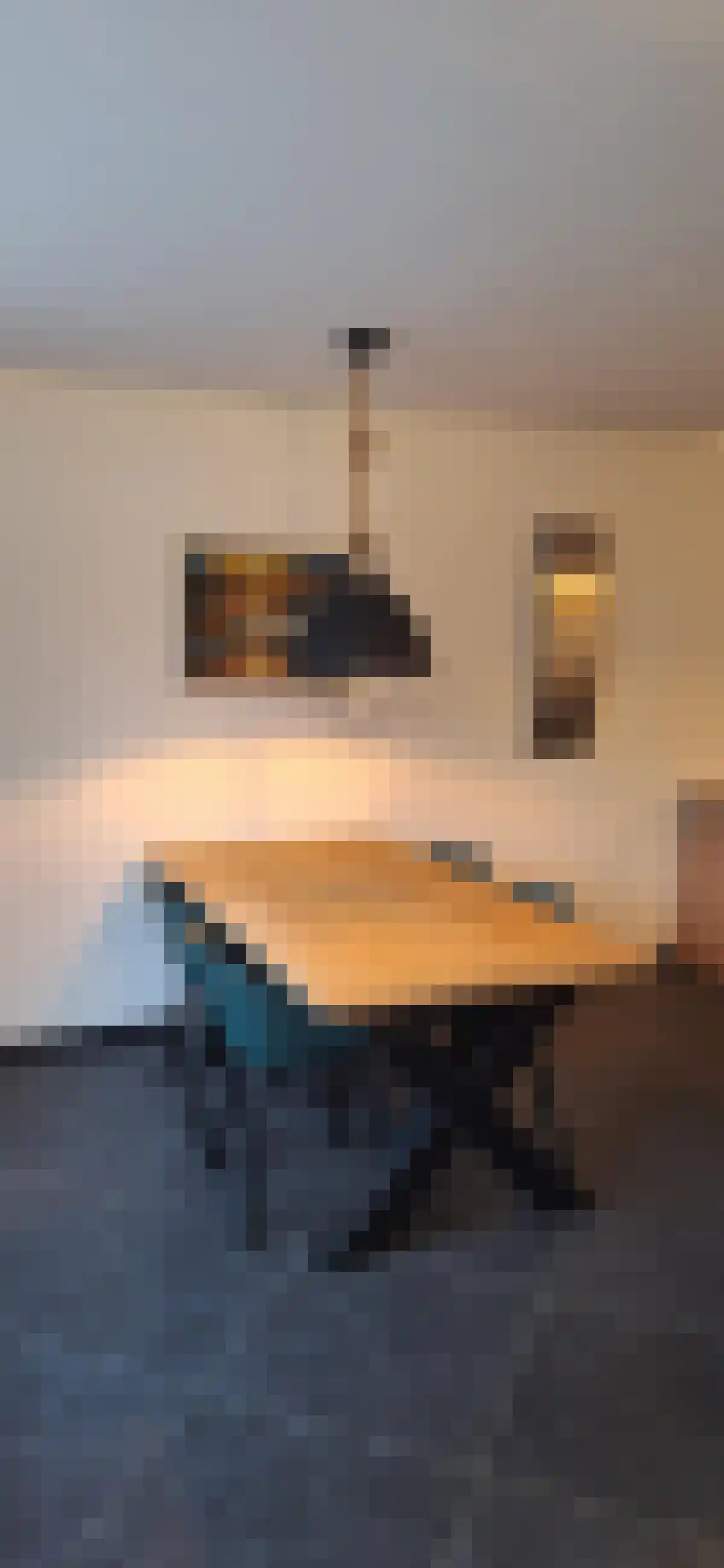 Oudenboschstraat 19 Tilburg thumbnail 6