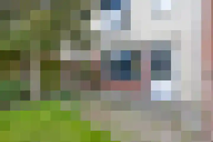 Oudenboschstraat 26 Tilburg thumbnail 19