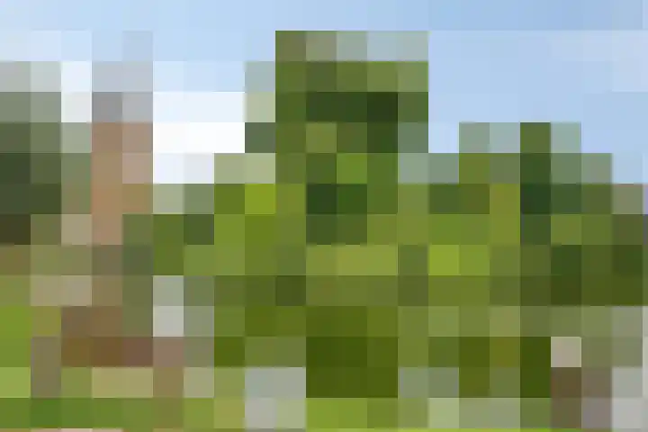 Oudenboschstraat 44 Wijnandsrade thumbnail 38