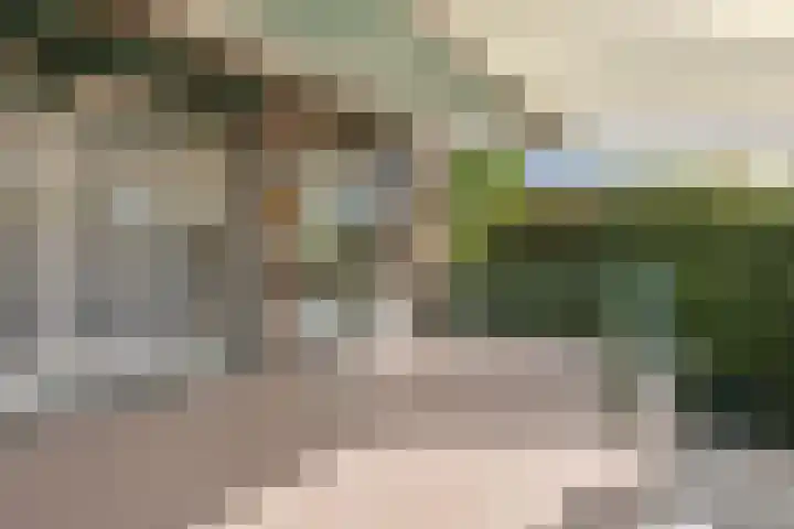 Oudenboschstraat 49 Wijnandsrade thumbnail 12