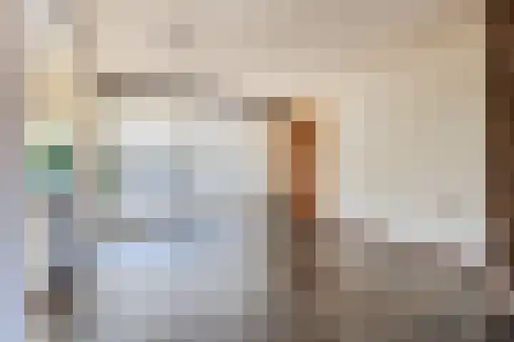 Oudenboschstraat 49 Wijnandsrade thumbnail 8