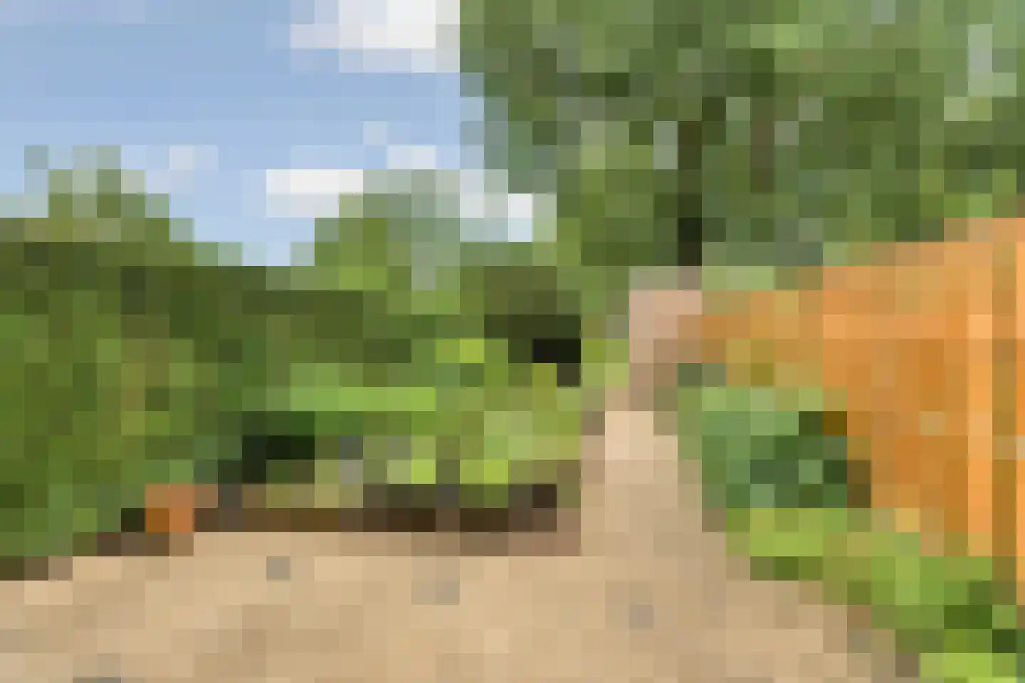 Oudenboschstraat 69 Arnhem thumbnail 33