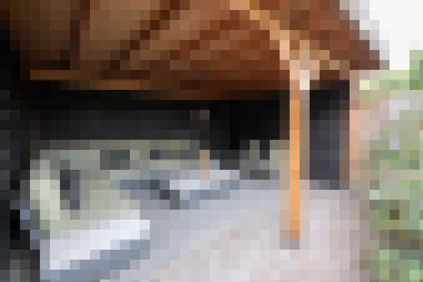 Oudenbosscheweg 2 b 1 Oud Gastel thumbnail 21