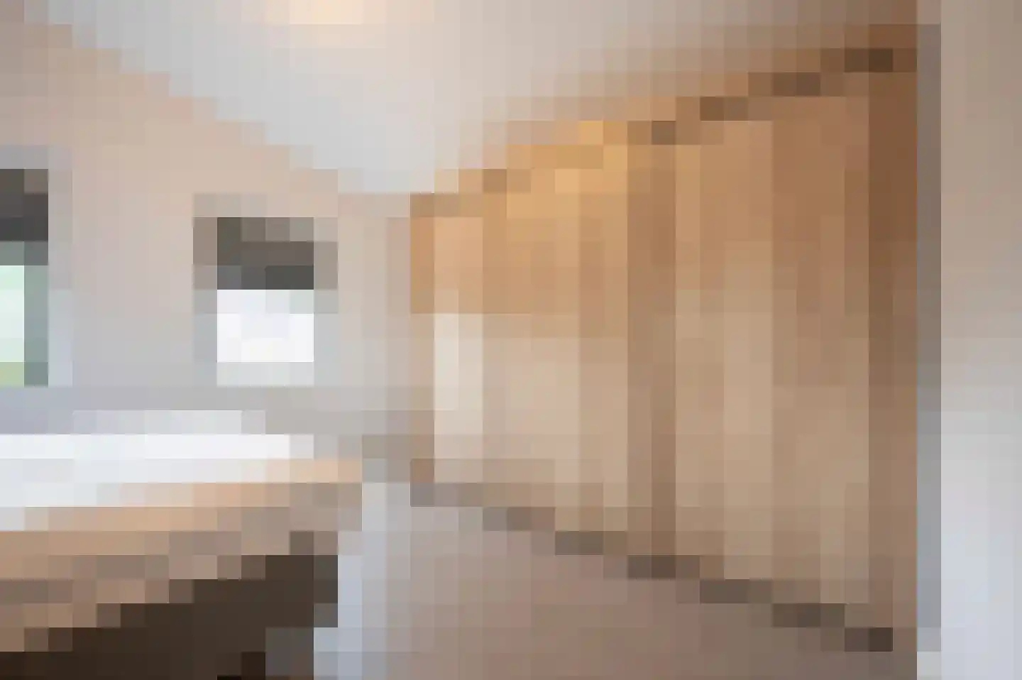 Oudenbosscheweg 2 b 1 Oud Gastel thumbnail 44