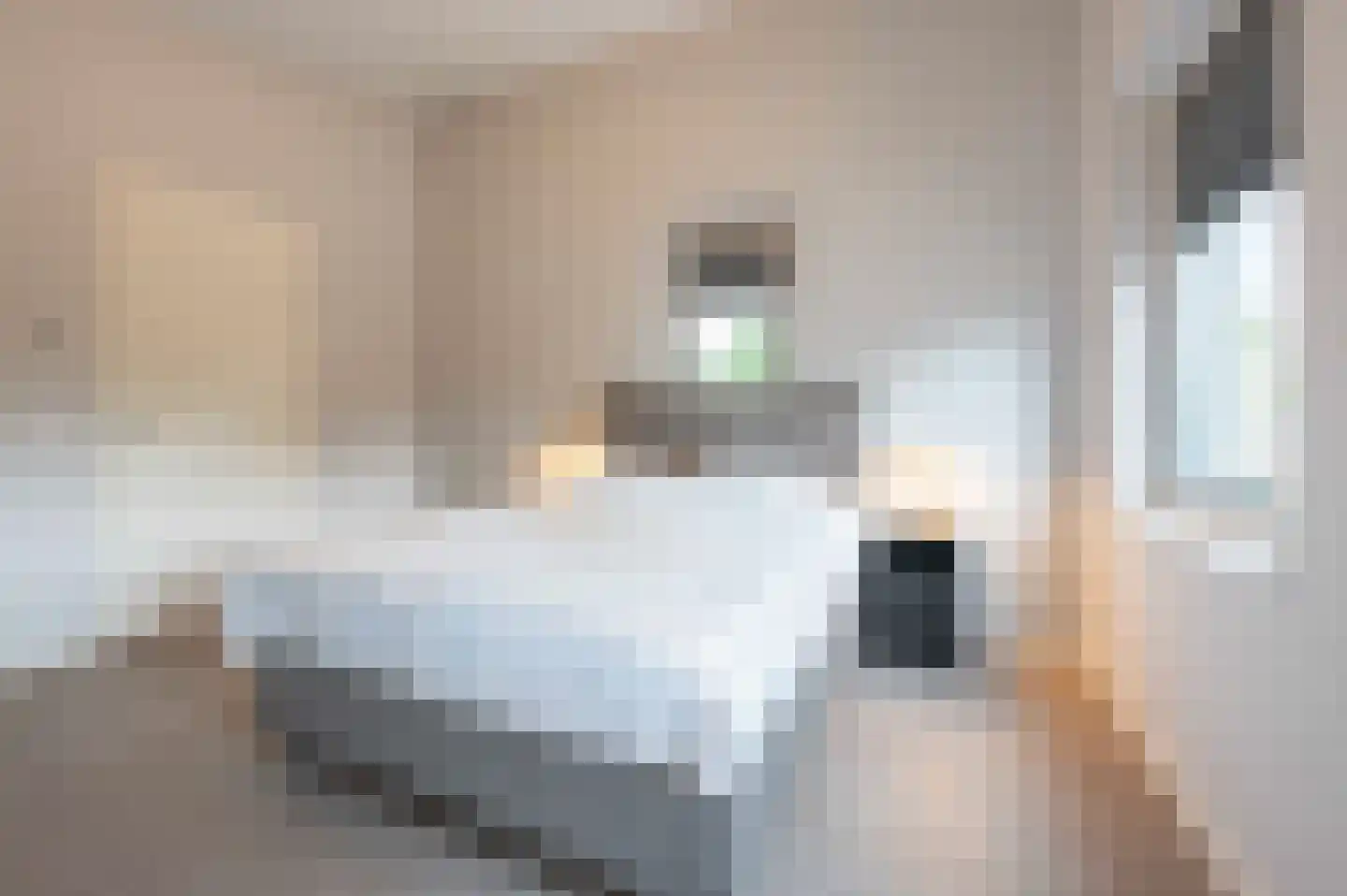 Oudenbosscheweg 2 b 1 Oud Gastel thumbnail 46
