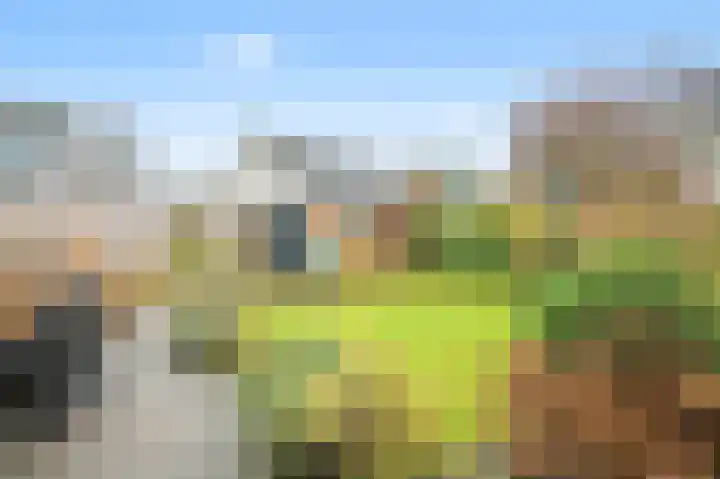 Oudendijk 11 Schoorl thumbnail 15