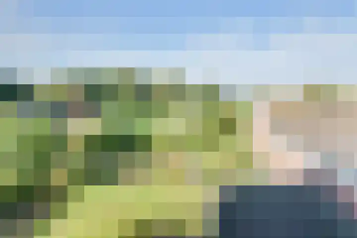 Oudendijk 12 Woudrichem thumbnail 23