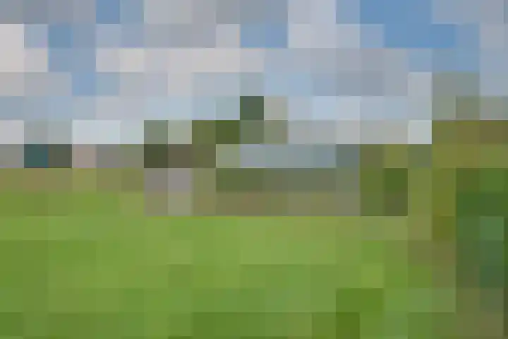 Oudendijk 12 Woudrichem thumbnail 28