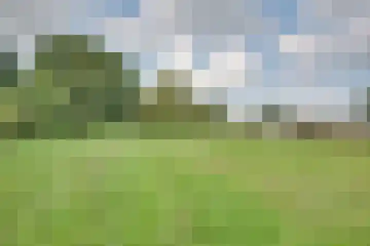 Oudendijk 12 Woudrichem thumbnail 29