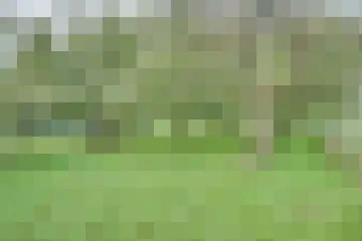 Oudendijk 12 Woudrichem thumbnail 31