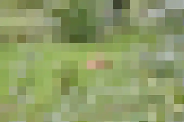 Oudendijk 12 Woudrichem thumbnail 32