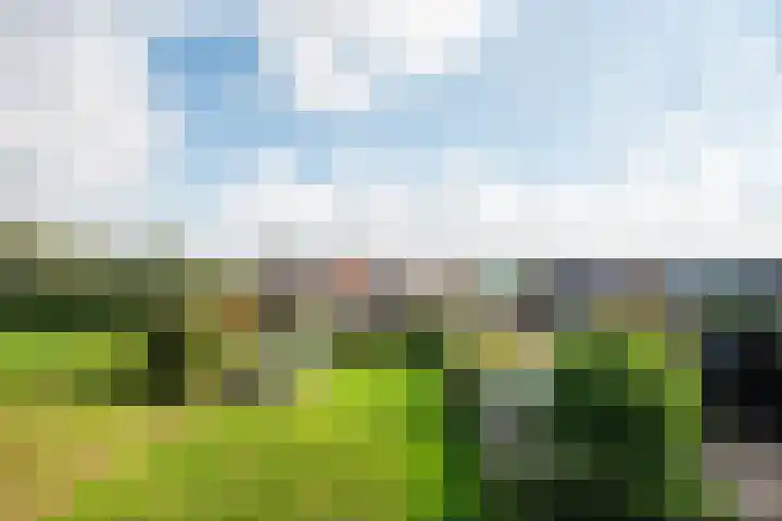 Oudendijk 12 Woudrichem thumbnail 34