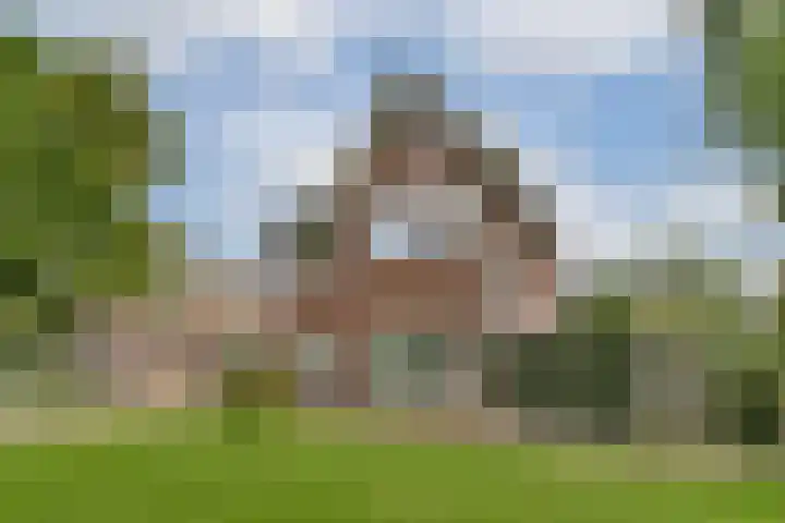 Oudendijk 205 Dordrecht thumbnail 31