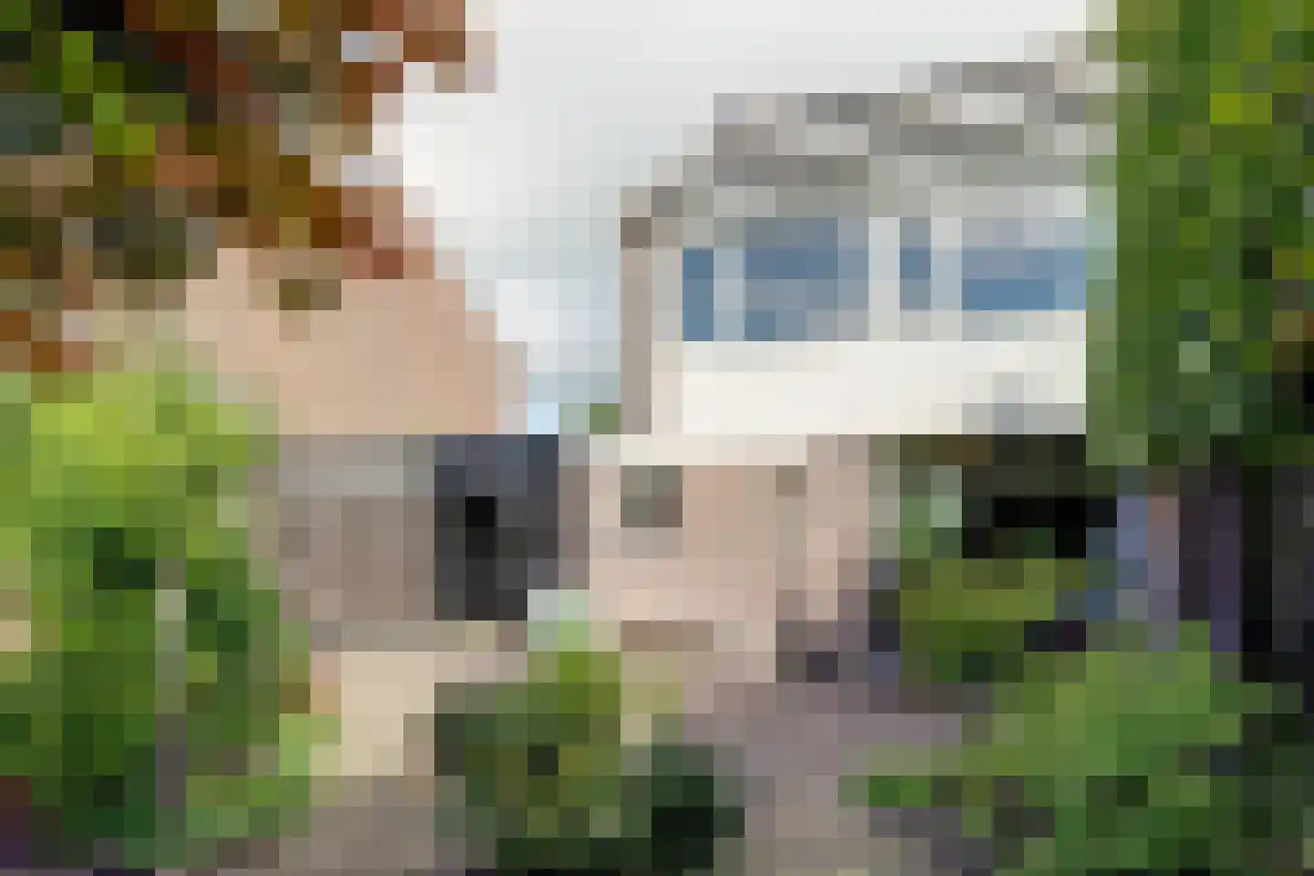 Oudendijk 25 Schoorl thumbnail 10