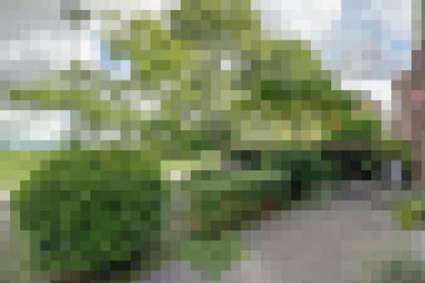 Oudendijk 25 Schoorl thumbnail 49