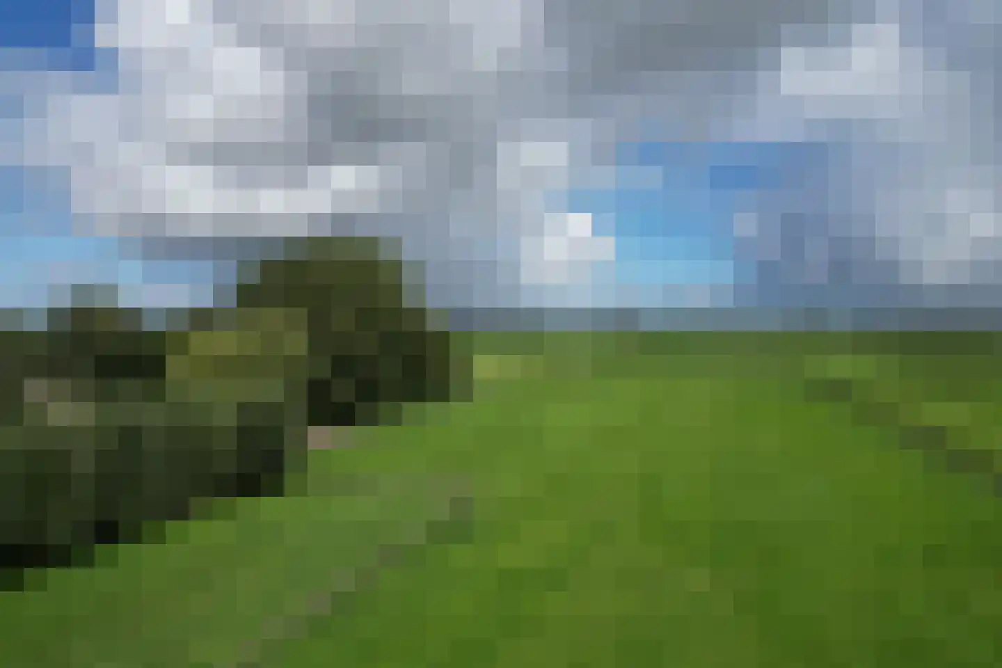 Oudendijk 25 Schoorl thumbnail 52