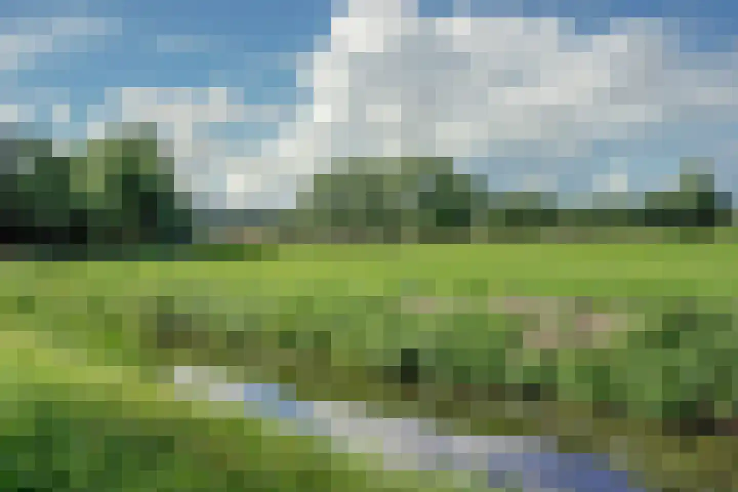 Oudendijk 25 Schoorl thumbnail 54