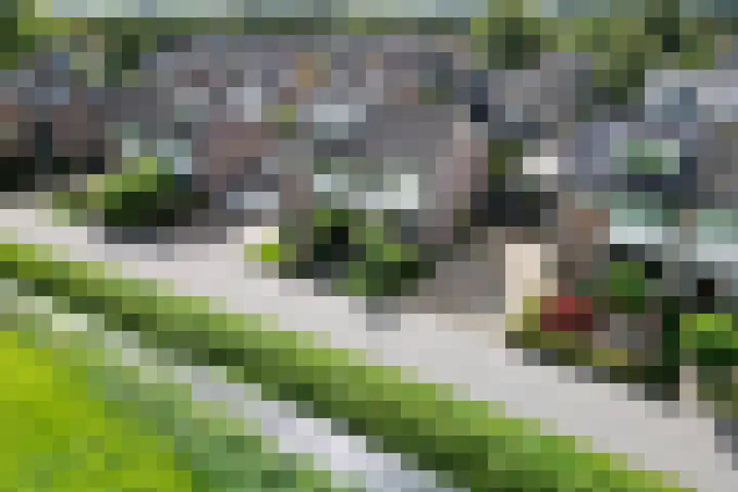 Oudendijk 25 Schoorl thumbnail 8