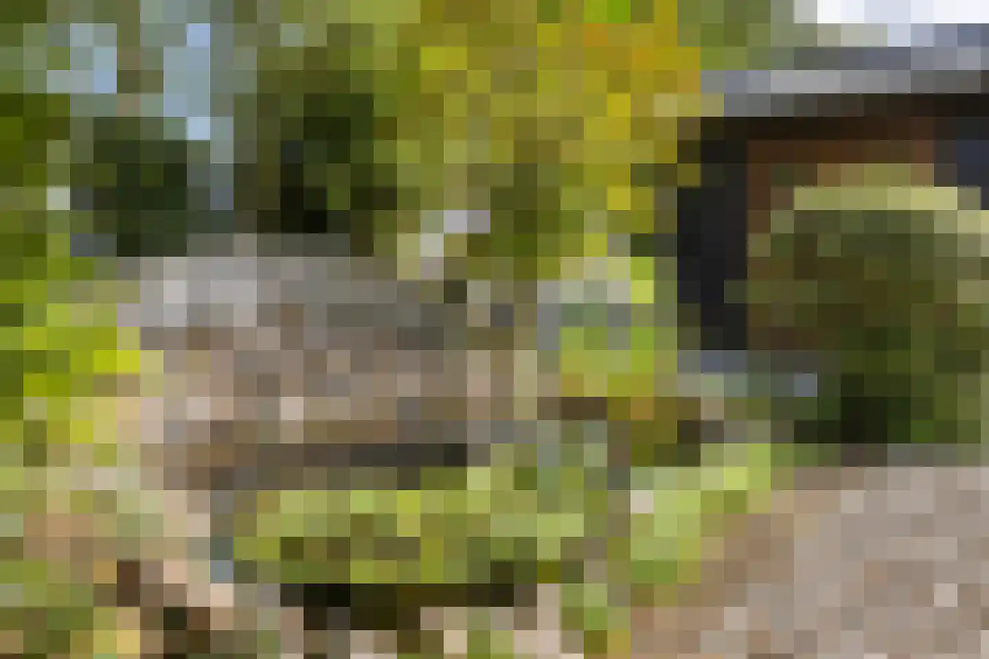 Oudendijk 34 Goudswaard thumbnail 23