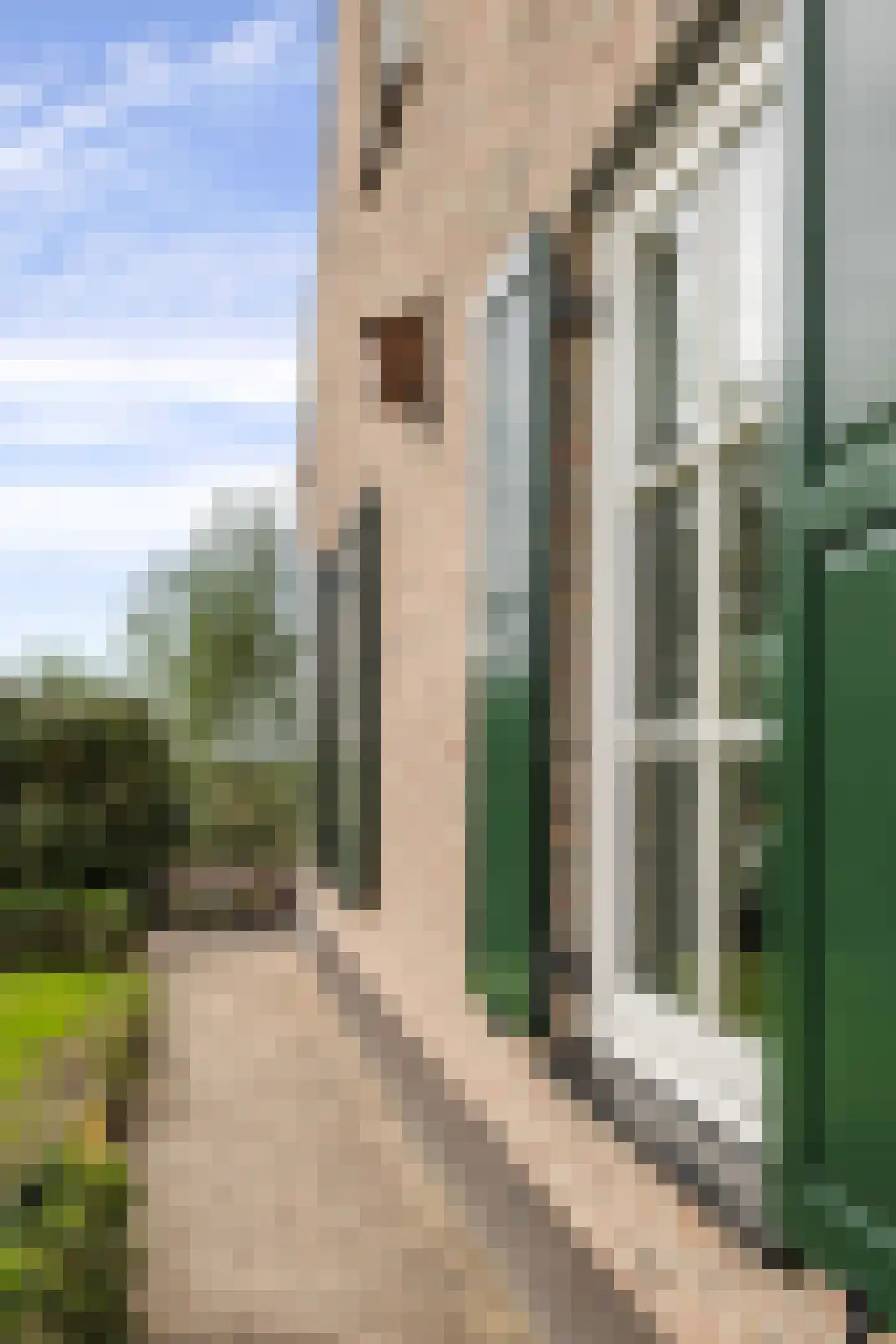 Oudendijk 34 Goudswaard thumbnail 45