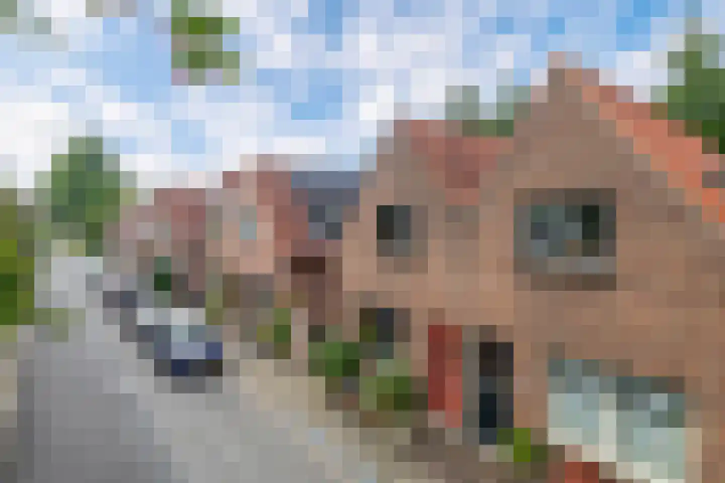 Oudendijk 37 Dordrecht thumbnail 4