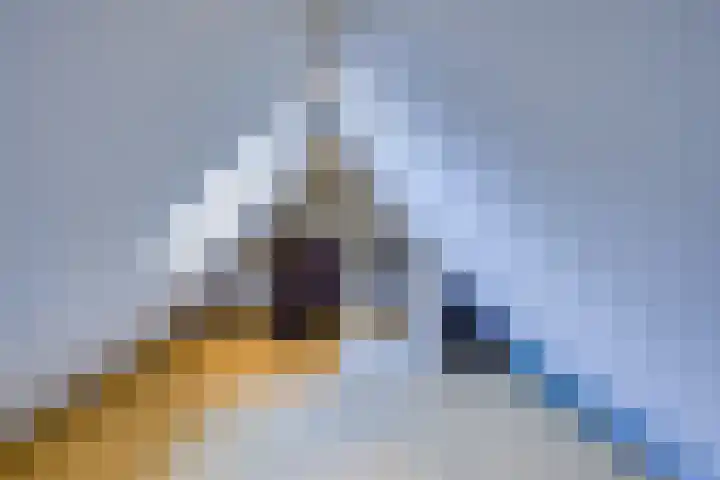 Oudendijk 4 Goudswaard thumbnail 38