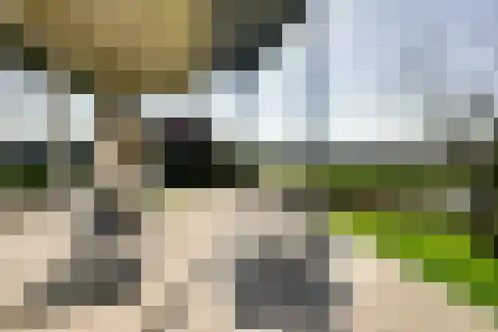 Oudendijk 4 Goudswaard thumbnail 4