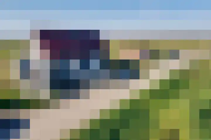 Oudendijk 4 Goudswaard thumbnail 5