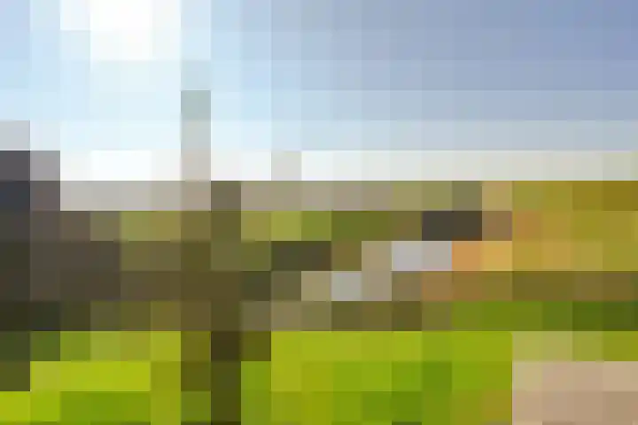 Oudendijk 4 Goudswaard thumbnail 50