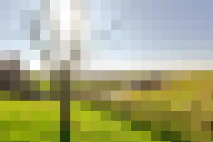 Oudendijk 4 Goudswaard thumbnail 51