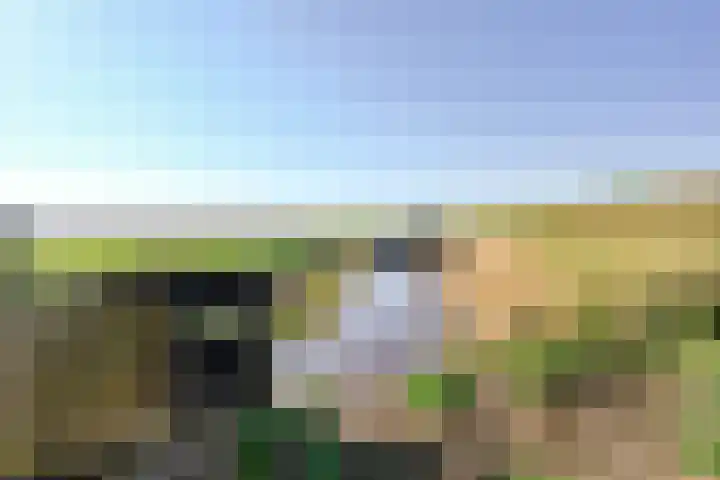 Oudendijk 4 Goudswaard thumbnail 52