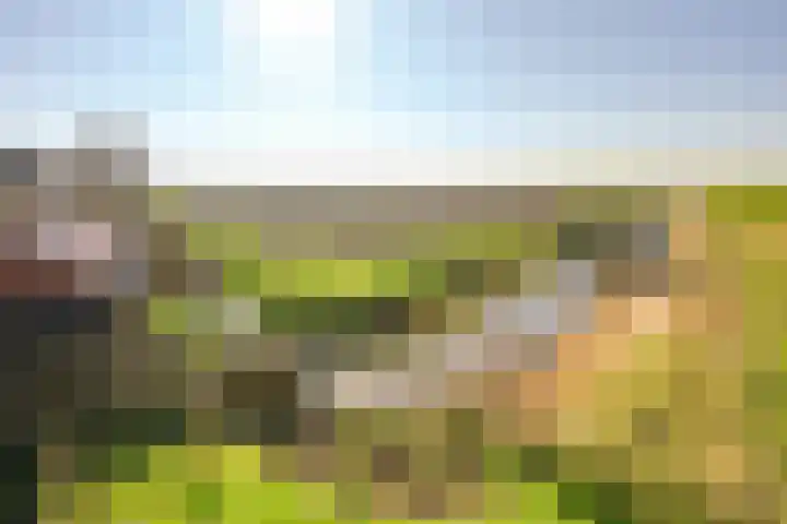 Oudendijk 4 Goudswaard thumbnail 53