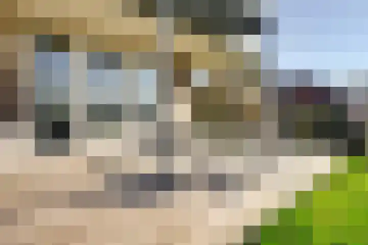 Oudendijk 4 Goudswaard thumbnail 56