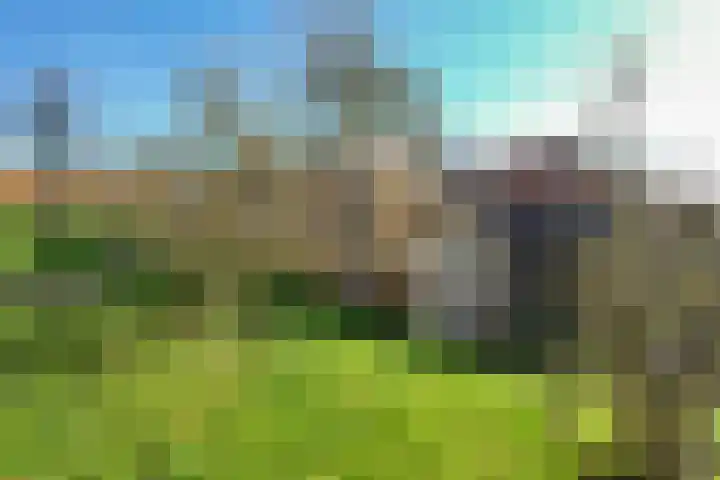 Oudendijk 4 Goudswaard thumbnail 58