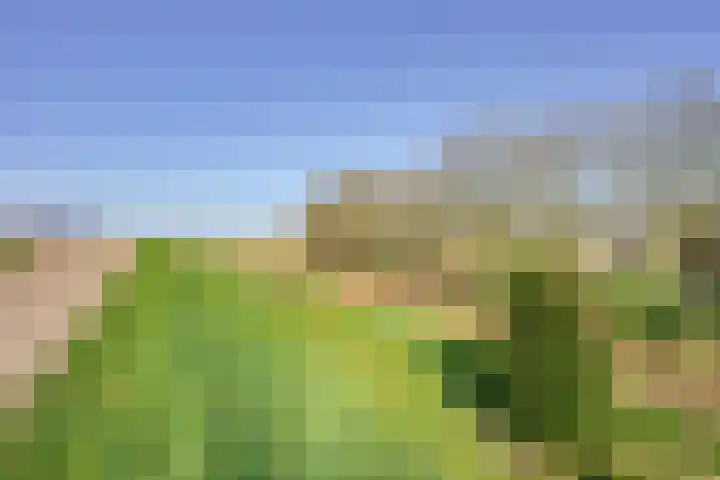 Oudendijk 4 Goudswaard thumbnail 6