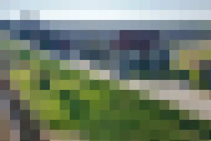 Oudendijk 4 Goudswaard thumbnail 62