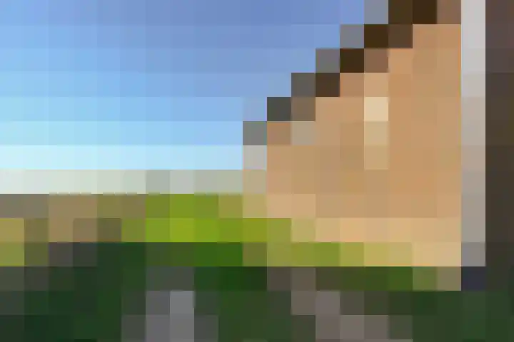 Oudendijk 4 Goudswaard thumbnail 65