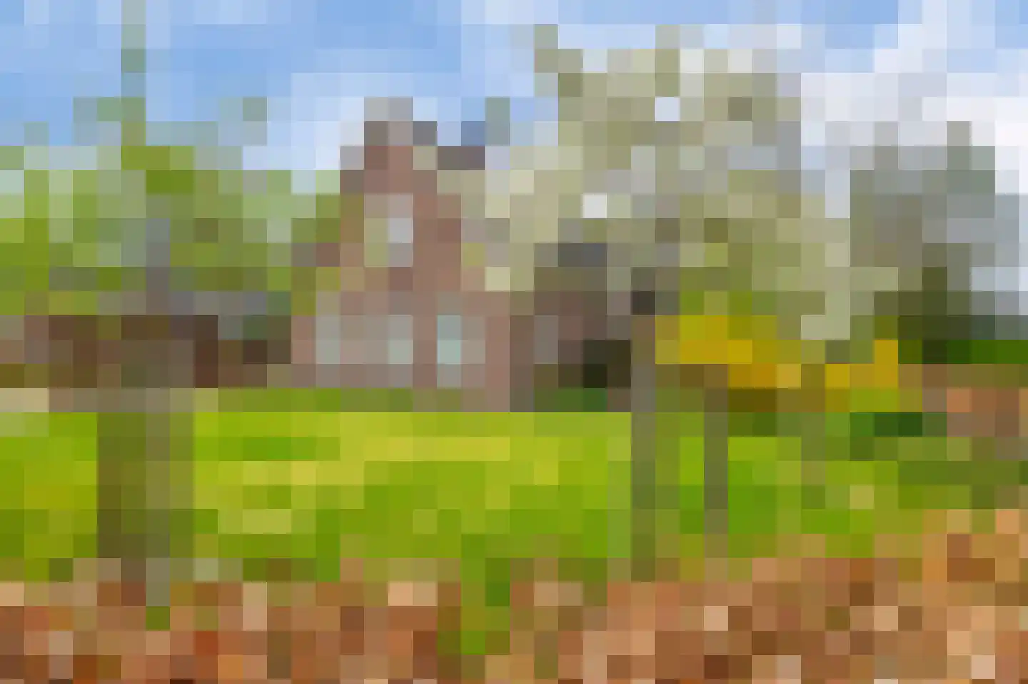 Oudendijk 46 Woudrichem thumbnail 10
