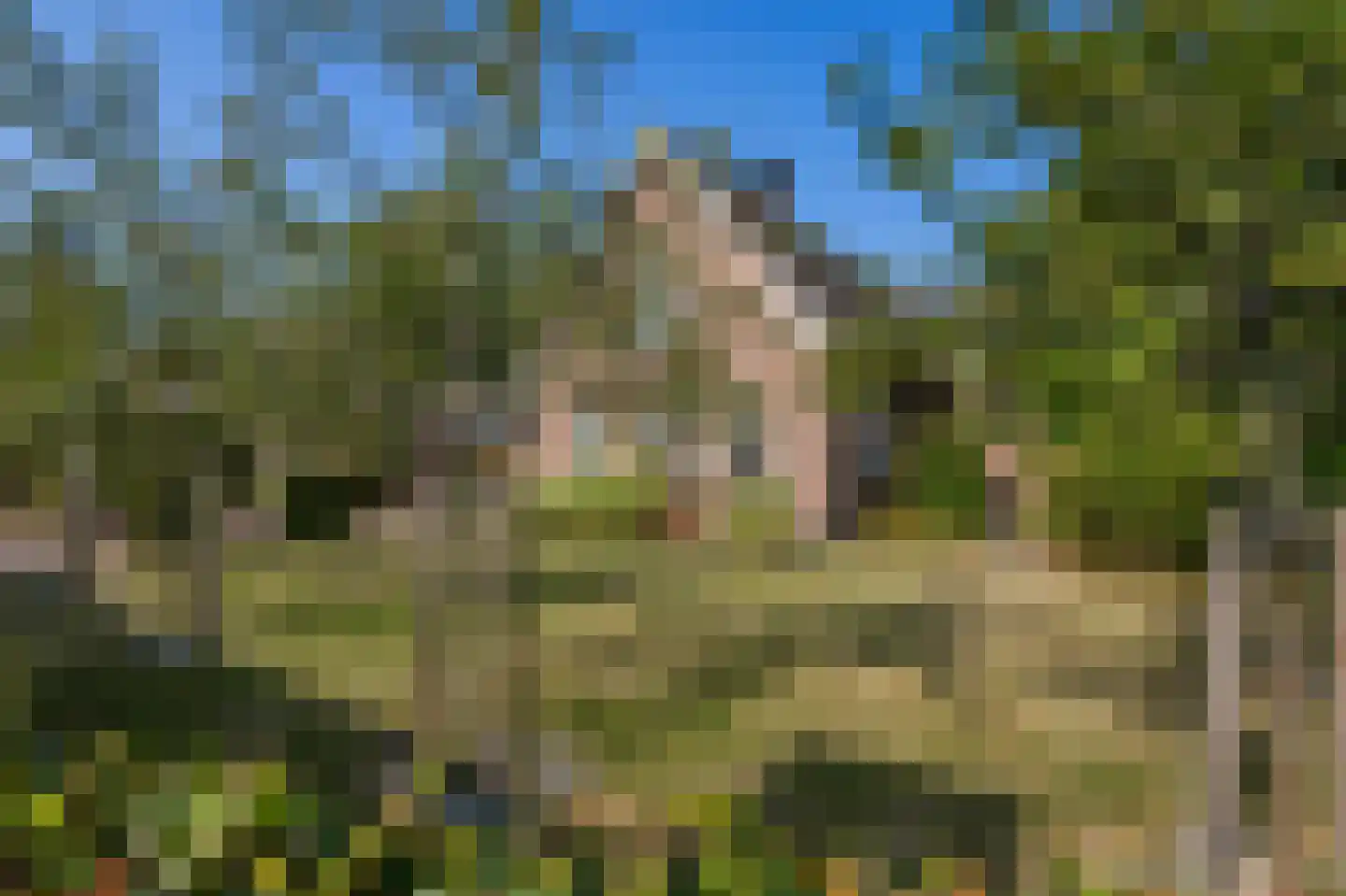 Oudendijk 46 Woudrichem thumbnail 12