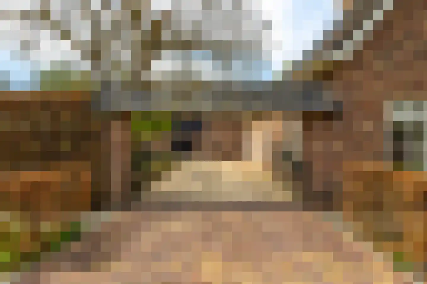 Oudendijk 46 Woudrichem thumbnail 13