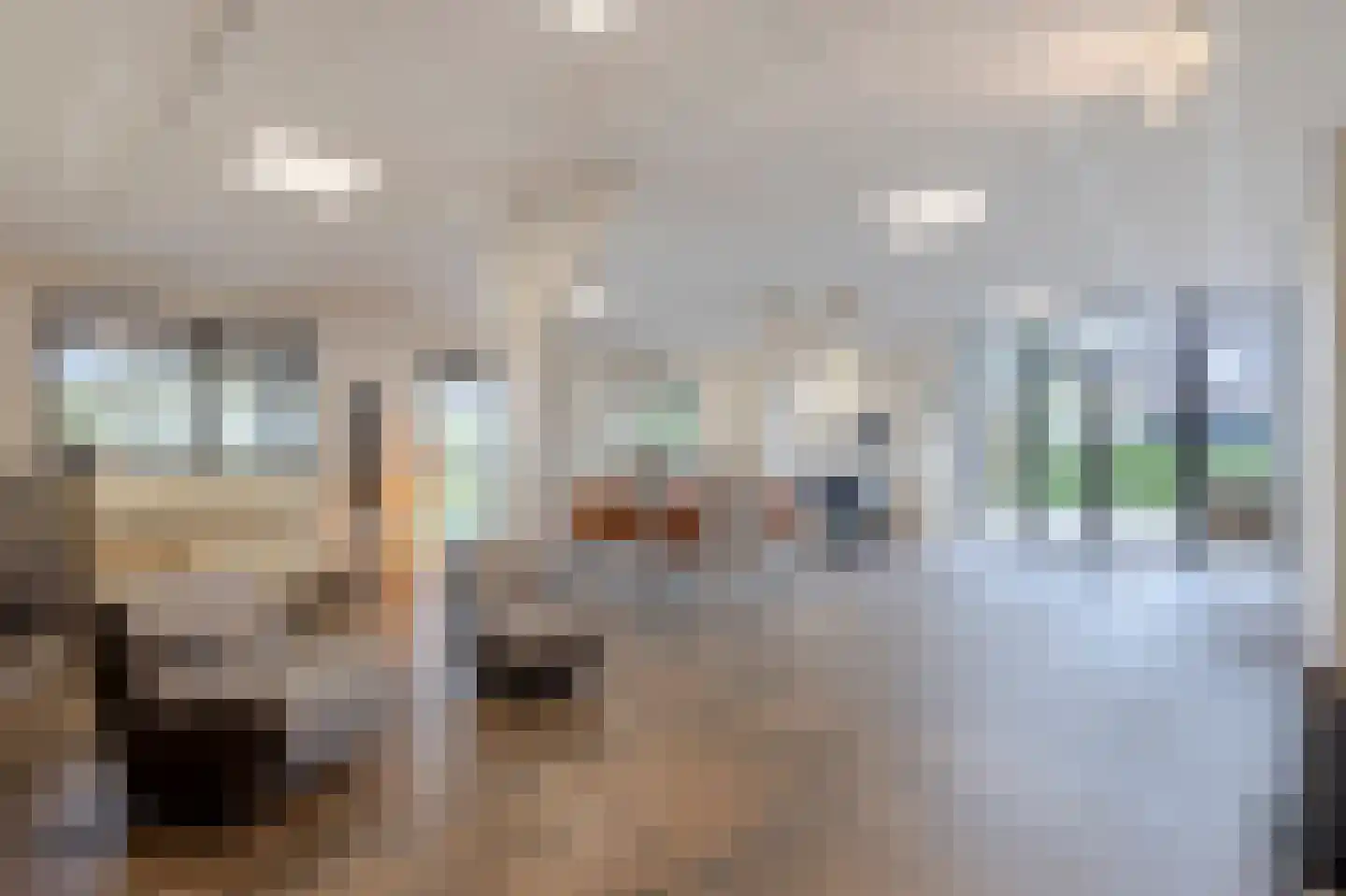 Oudendijk 46 Woudrichem thumbnail 4