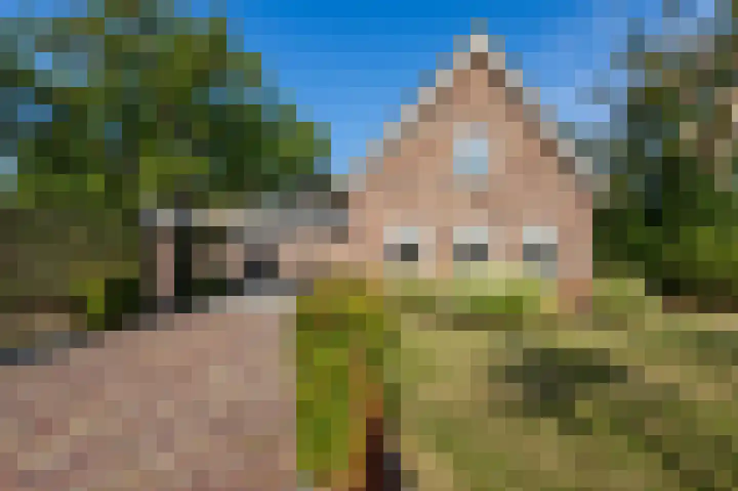 Oudendijk 46 Woudrichem thumbnail 49