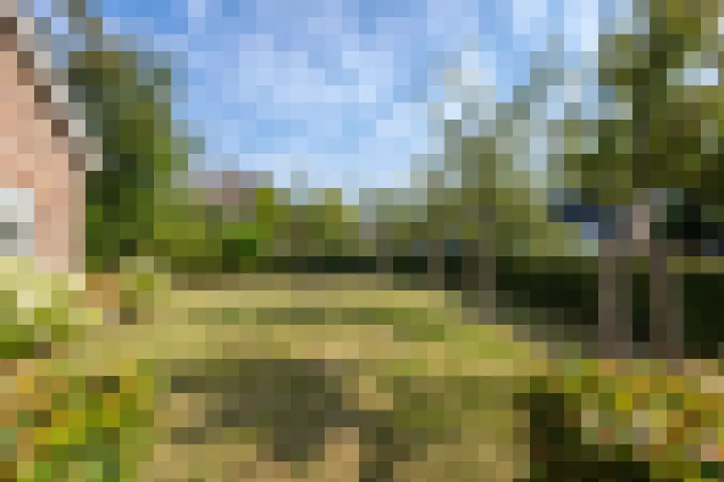 Oudendijk 46 Woudrichem thumbnail 54