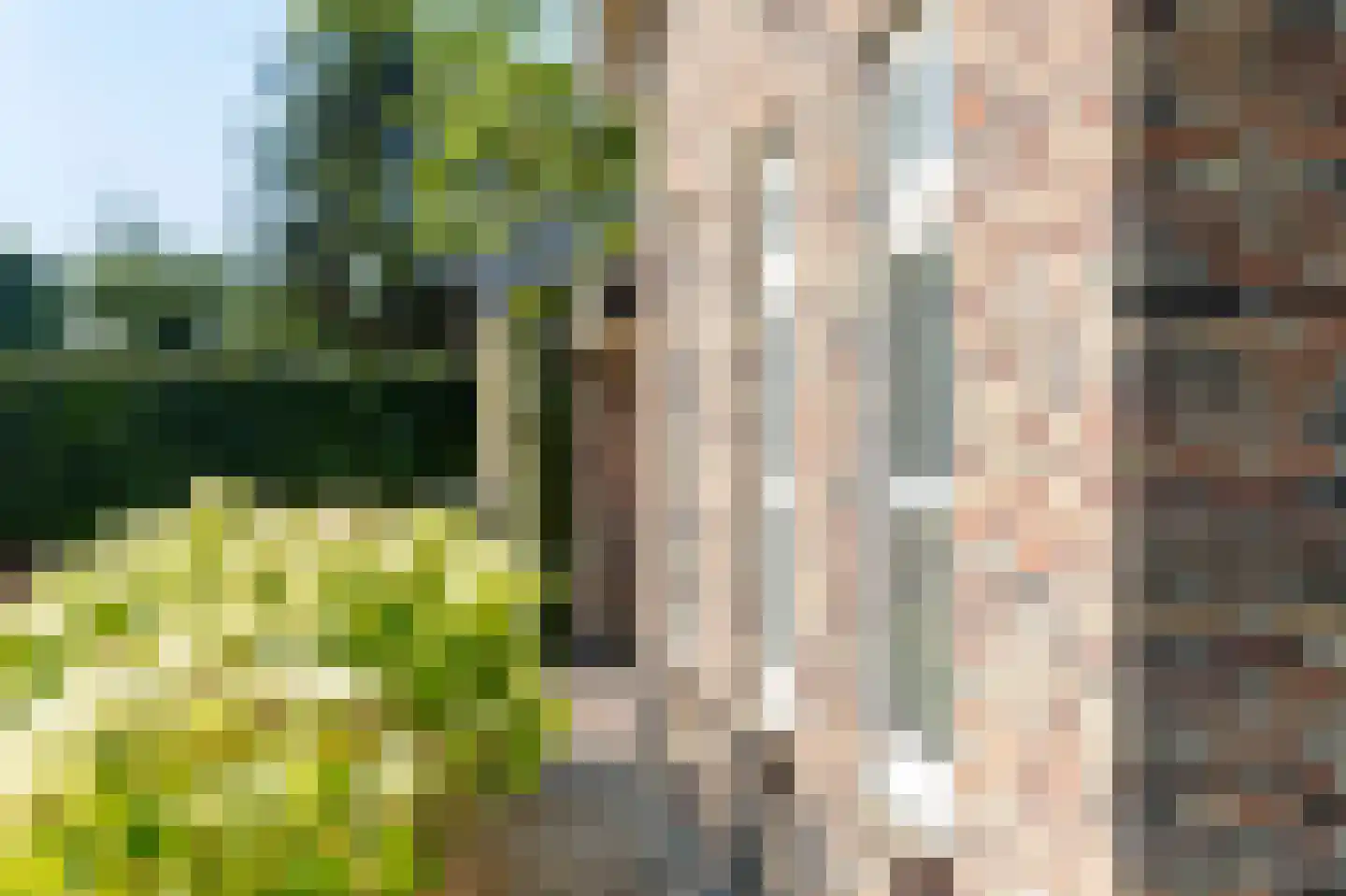 Oudendijk 46 Woudrichem thumbnail 56