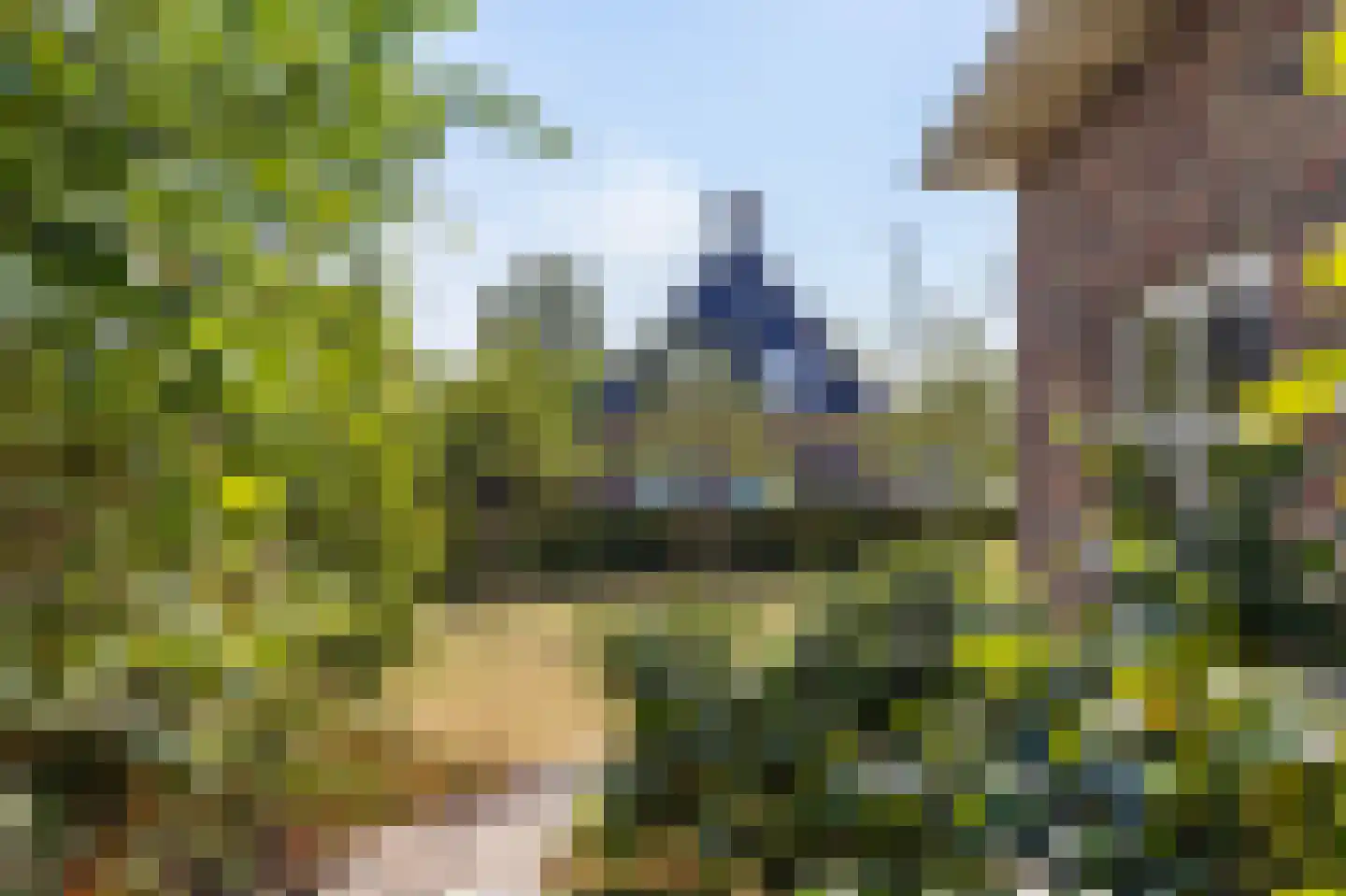Oudendijk 46 Woudrichem thumbnail 58