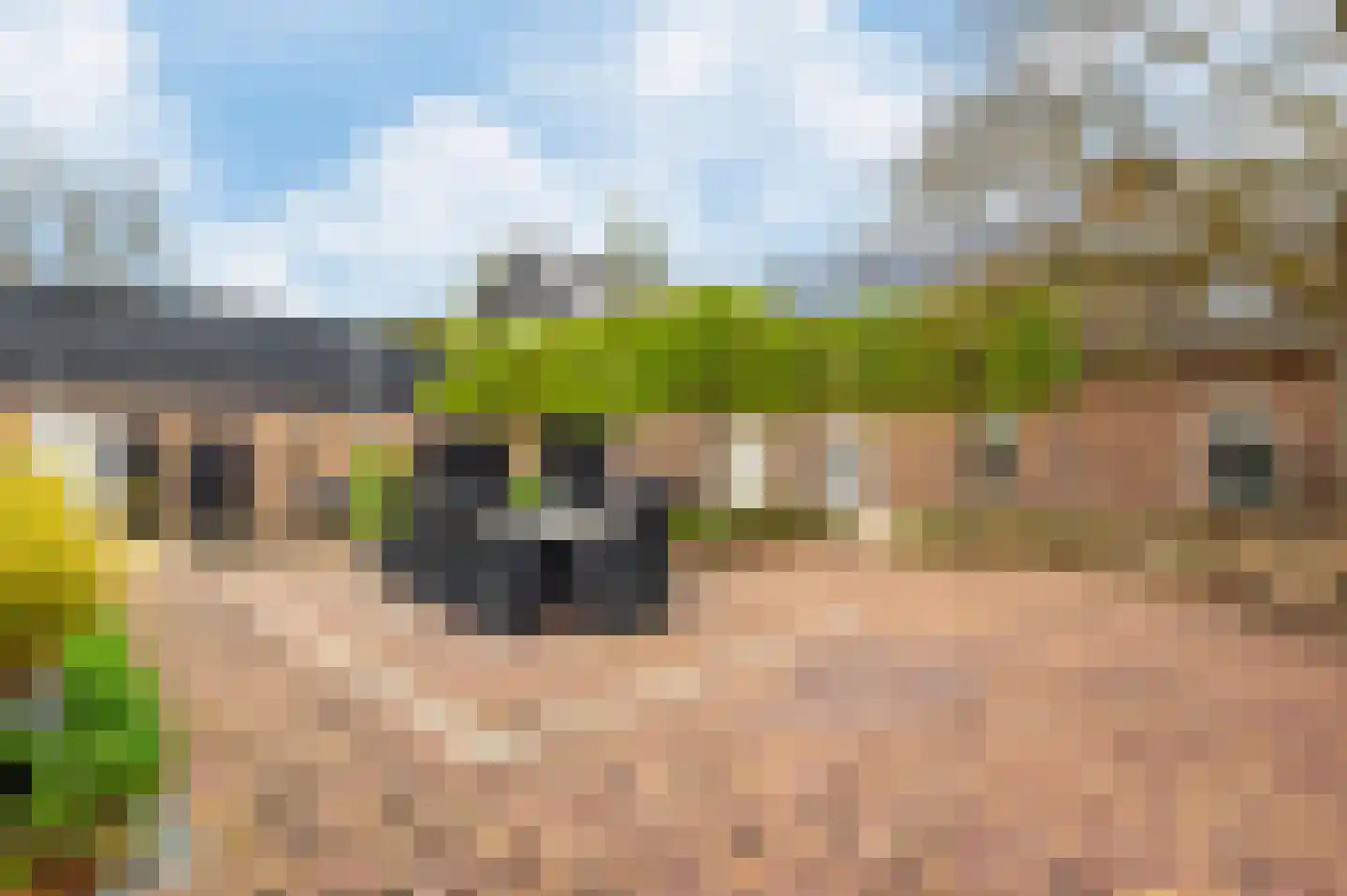 Oudendijk 46 Woudrichem thumbnail 61