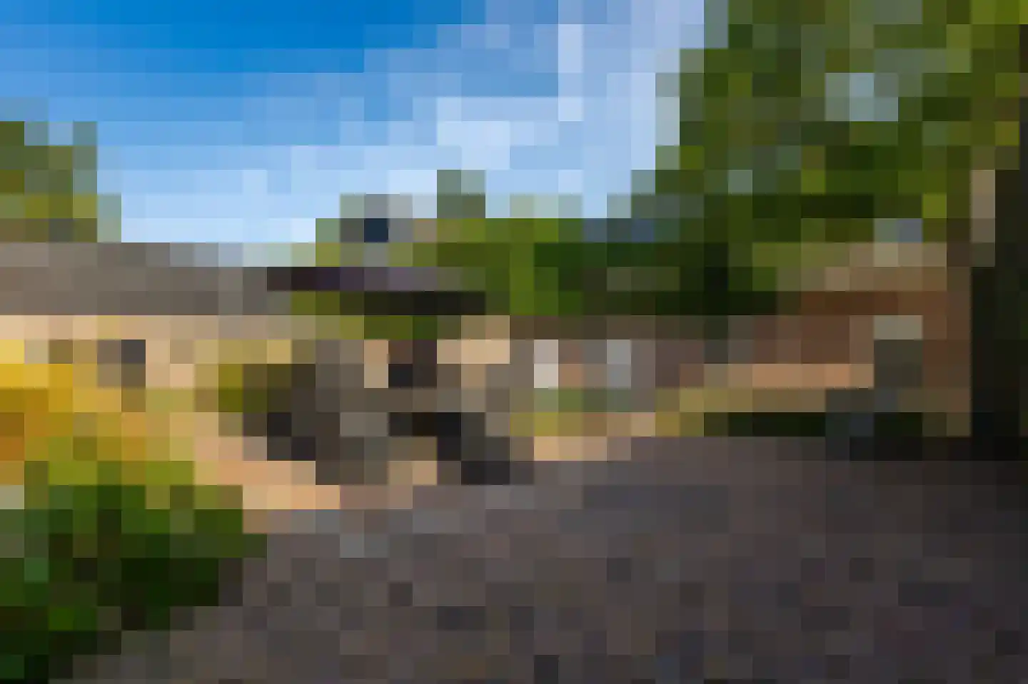 Oudendijk 46 Woudrichem thumbnail 9