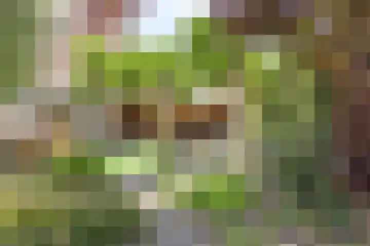 Oudendijk 56 Oud Gastel thumbnail 36