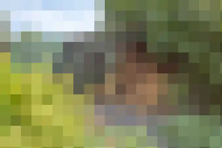 Oudendijk 56 Oud Gastel thumbnail 37